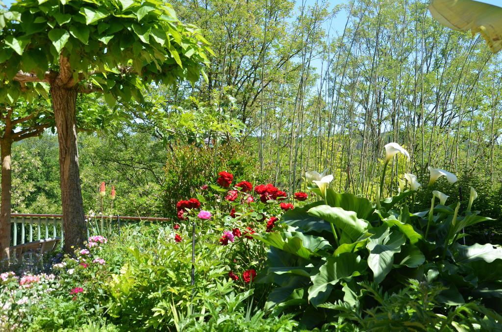 Bed and Breakfast La Gueriniere Cenac-et-Saint-Julien Екстер'єр фото