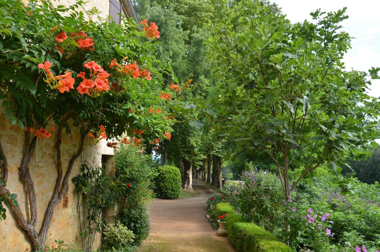 Bed and Breakfast La Gueriniere Cenac-et-Saint-Julien Екстер'єр фото